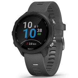 【ラッピング可】【即日発送】【新品】GARMIN ガーミン ForeAthlete 245 010-02120-42 [Black Slate]