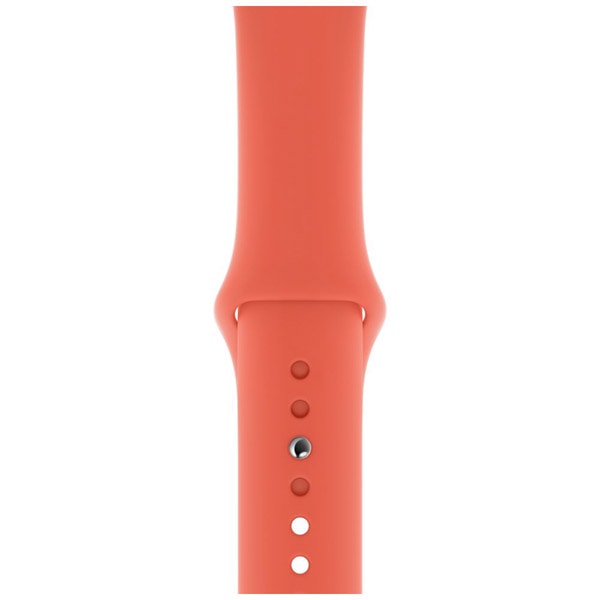 【ラッピング可】【即日発送】【国内版】【新品】Apple SPORT BAND MWUT2FE/A