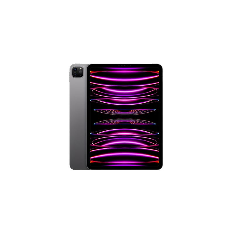 【即日発送】【新品 保証開始済み品】iPad Pro 11インチ 第4世代 Wi-Fi 256GB スペースグレイ MNXF3J/A