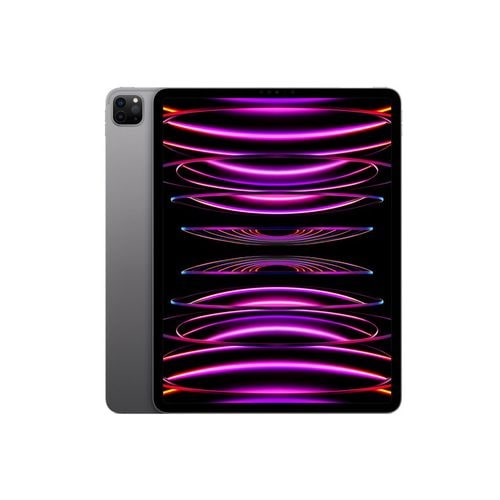 【即日発送】【新品 保証開始済み品】iPad Pro 12.9インチ 第6世代 Wi-Fi 256GB スペースグレイ MNXR3J/A