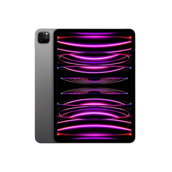 【即日発送】【新品 箱不良・シュリンク破れ品】iPad Pro 11インチ 第4世代 Wi-Fi 2TB スペースグレイ MNXM3J/A