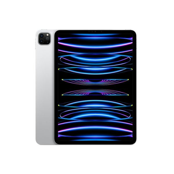 【即日発送】【新品 箱不良・シュリンク破れ品】iPad Pro 11インチ 第4世代 Wi-Fi 2TB シルバー MNXN3J/A