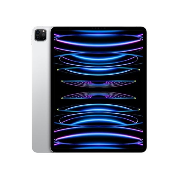 【即日発送】【新品 保証開始済み品】iPad Pro 12.9インチ 第6世代 Wi-Fi 1TB シルバー MNXX3J/A