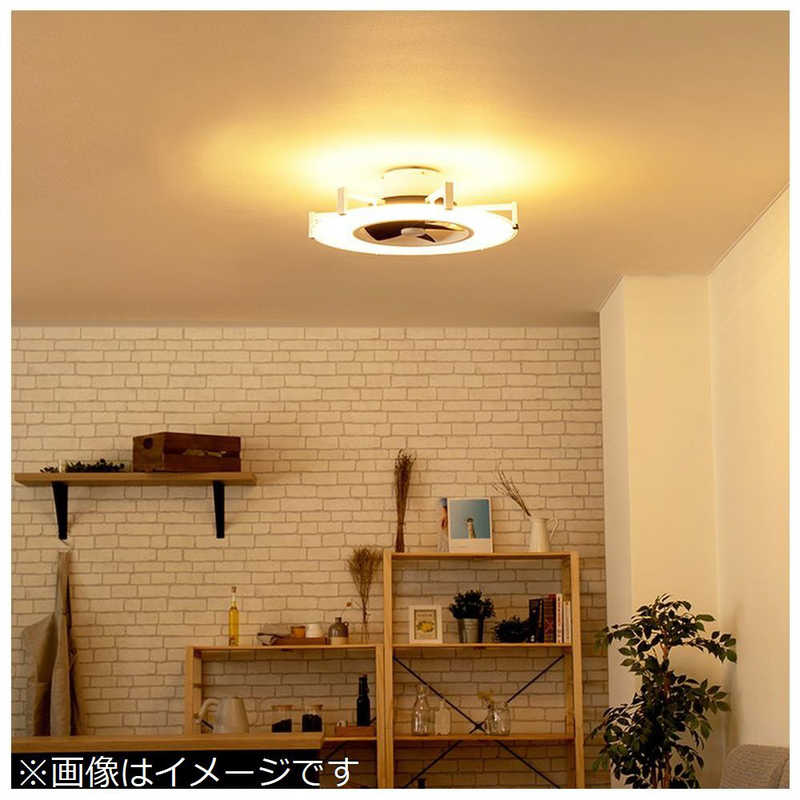 【即日発送】【新品 箱不良・シュリンク破れ品】LIFEWORKPRODUCTS ライフオンプロダクツ シーリングライト JAVALO ELF JE-CF029