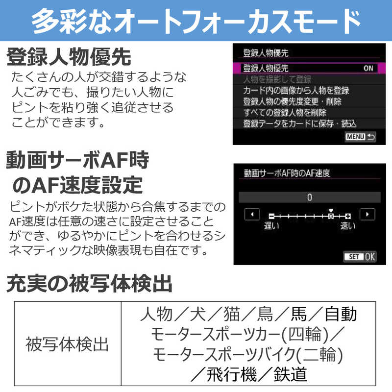 【ラッピング可】【即日発送】【新品 箱不良・シュリンク破れ品】CANON キヤノン デジタル一眼カメラ EOS R50 V ボディ